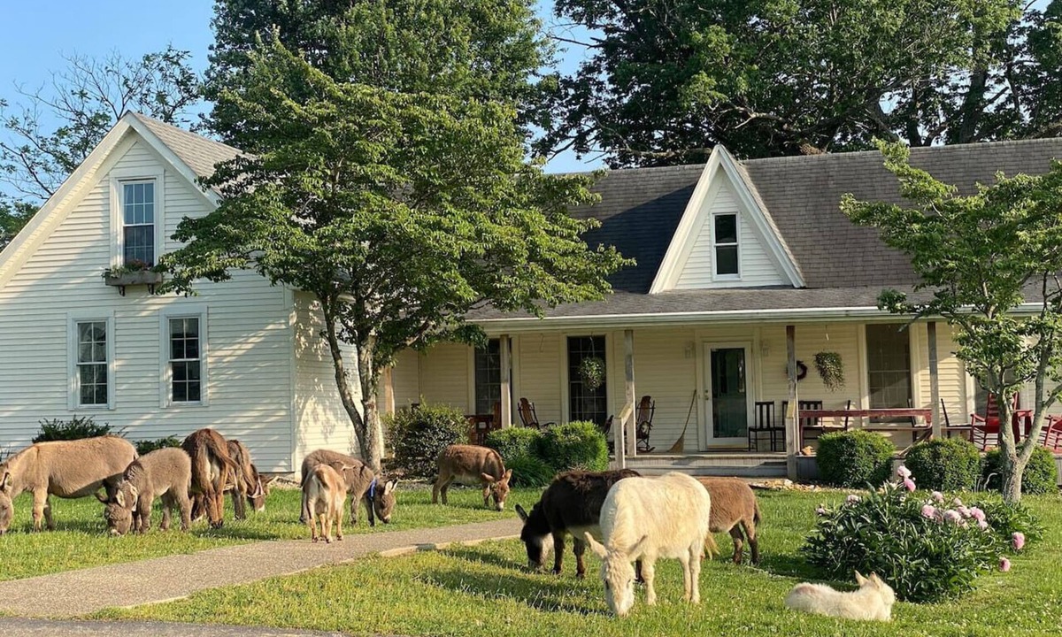 Heltonville House | 1884 Farmhouse - Donkeytown at Turner Farms