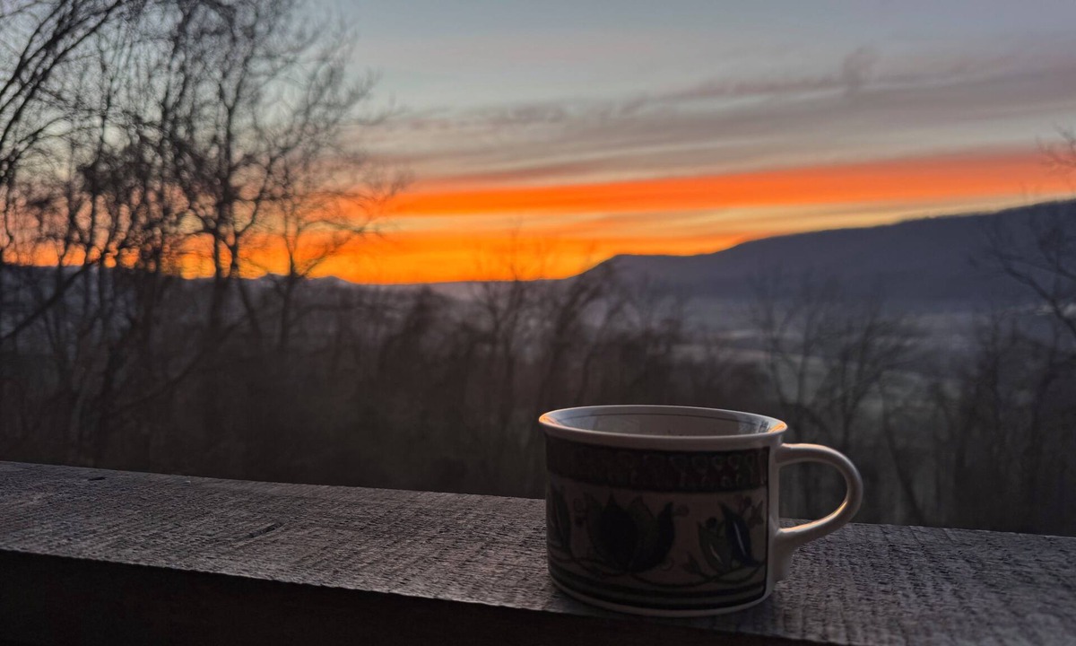 Pembroke Cabin | 3-room cabin near Blacksburg with cozy charm