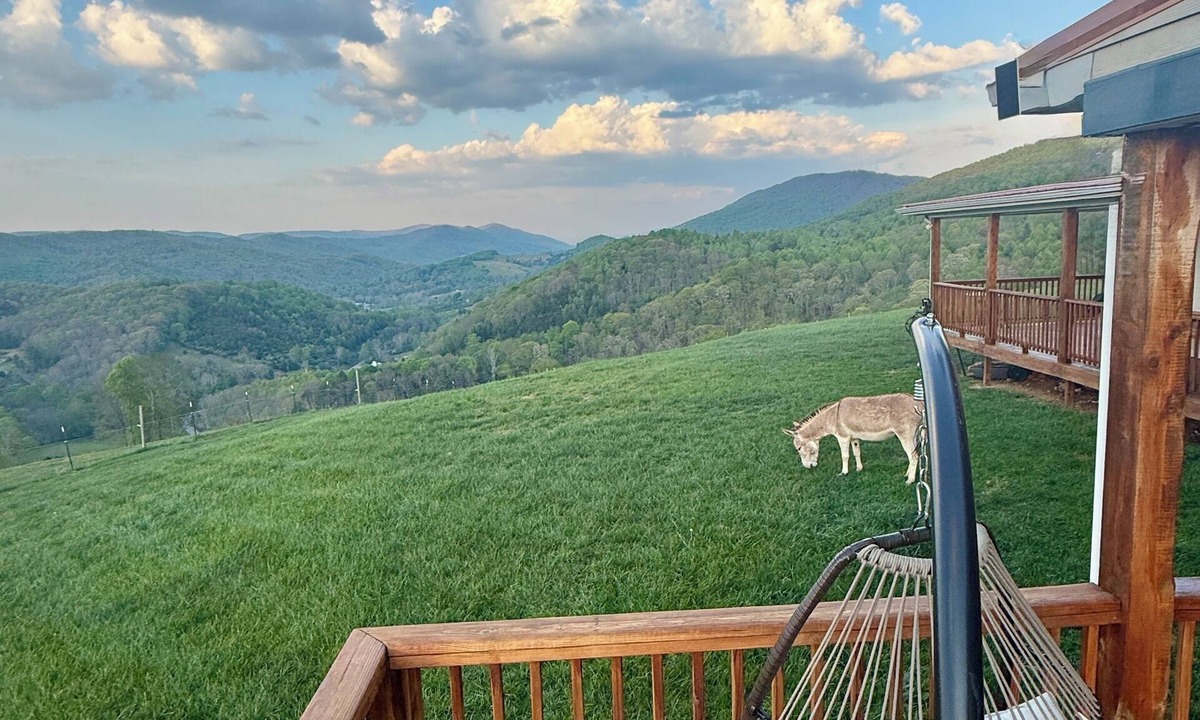 Green Valley House | 360° Mountain Views! 1 mile off 77, Pride’s Mountain Guest House and Farm Stay
