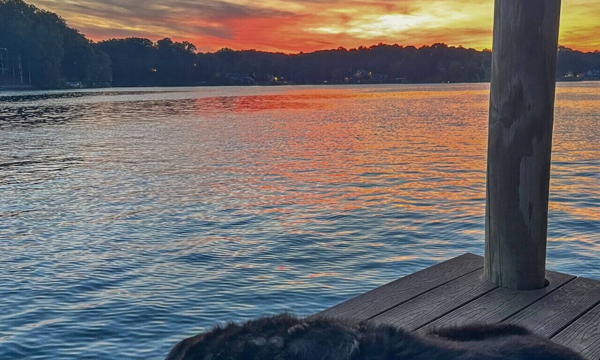 Goodview House | Baloo Lagoon - Pet Friendly/Sunset Views