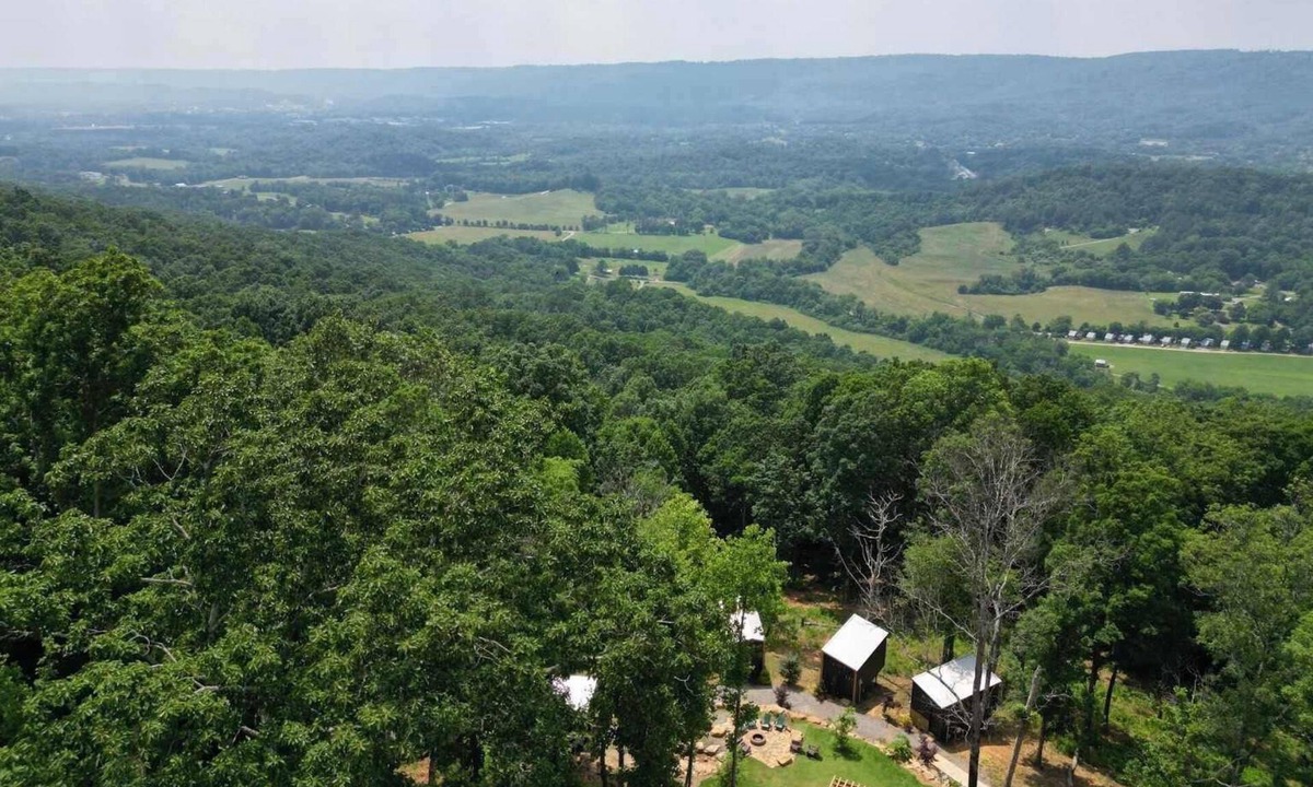 Wildwood Cabin | Bird's Nest Spruce at Treetop Escapes!