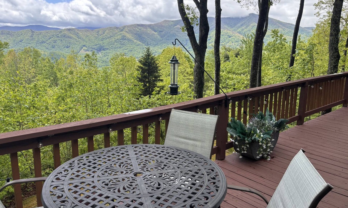 Waynesville House | Cardinals Nest In The Smokies ~ Family Friendly