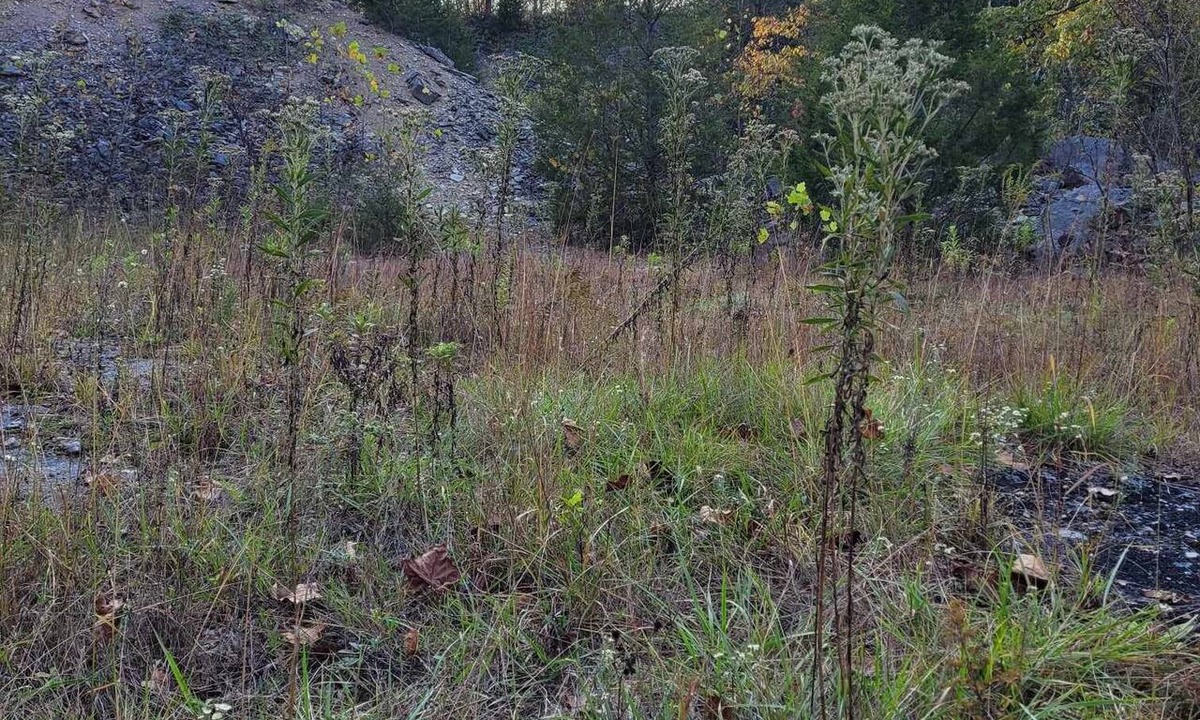 Freedom RV Rental | Celtic Glen Farm Stay - Quarry Site