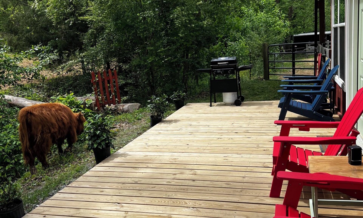 Walland House | Charming barn dominium studio with Highland cows/Valais lambs by the Smoky Mts.