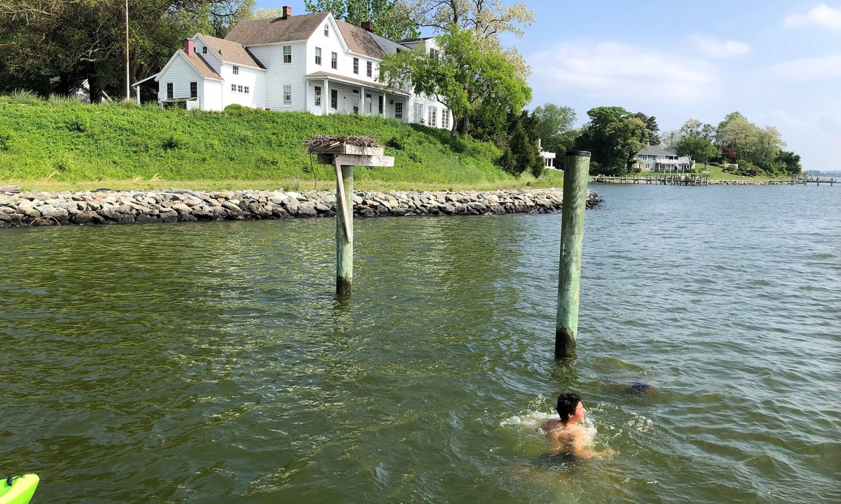 Lusby House | Chesapeake Bay Waterfront 5+ Bedroom 7-Acre Historic Farm Near Solomons Island