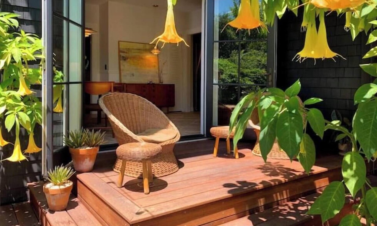Central Berkeley Apartment | Classic Bright Modern Spacious 1bd/1ba Apartment