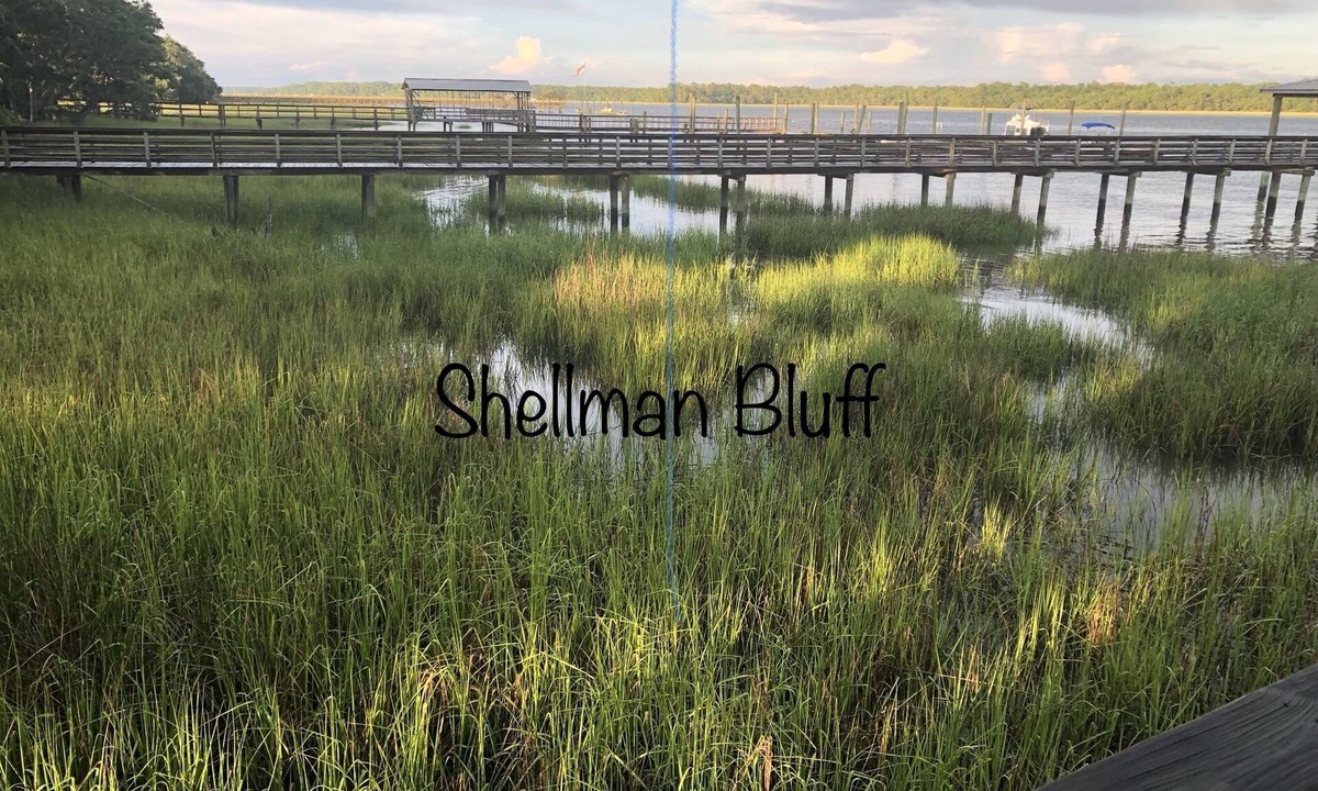 Shellman Bluff House | Coastal Golf Cart Getaway in Pleasure Bluff