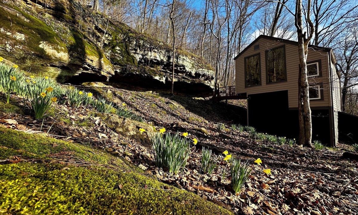 Makanda Cabin | Cozy Bluff Retreat by Giant City & Makanda Boardwalk. 9 miles to SIU.