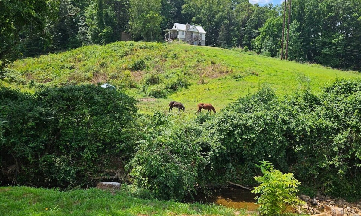 Arden House | Creekside Delight-Lovely! 20 min to Asheville