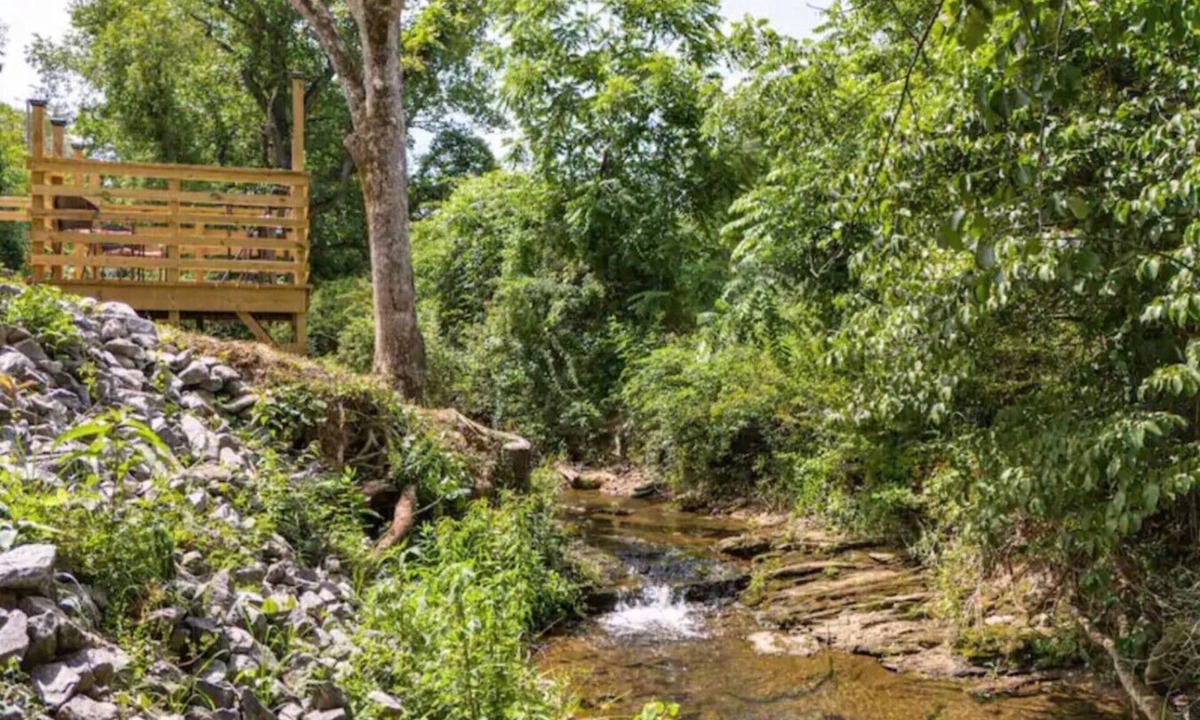 Arden House | Creekside Joy- Beautiful Home,20 Min to Asheville