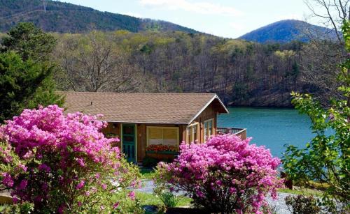 Huddleston House | Cute and Comfy Cabin, Stunning Lakefront Views