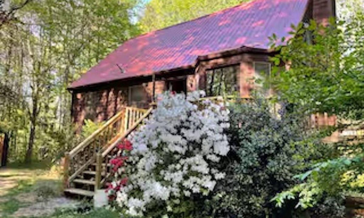 Andersonville Ski Chalet | Entire chalet in Farmville, Virginia 8 guests 3 bedrooms 4 beds 2 baths