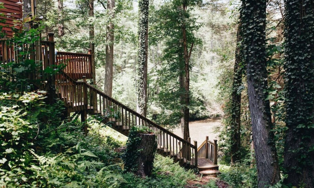 Blue Ridge Cabin | Fun on the River - Swim, Fish, Hike Near Tubing