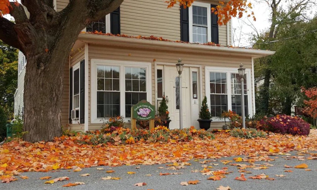 Luray Apartment | Garfield Guest House - Hawksbill Suite
