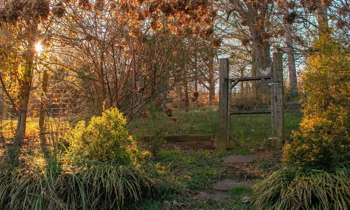 Horse Shoe House | Honeybee Farmhouse- Dog and family friendly