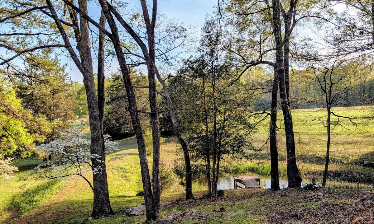 Powhatan House | Jones Creek Hideaway - A Pet friendly 13 acre retreat near Fine Creek