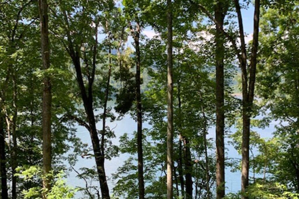 Topton House | Lakeside Mountain Oasis