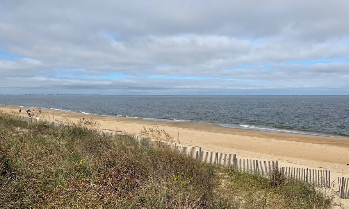 Willoughby Spit House | Manor and Mutts #2 - Beach Front, Pet Friendly, Wi-Fi, Parking, W/D, King Bed