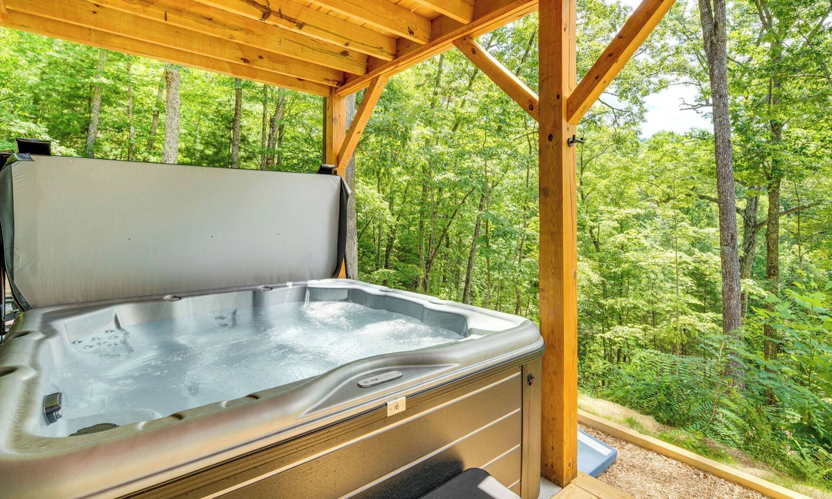 Hendersonville House | Modern Hiker's Haven w/DuPont State Forest Views!