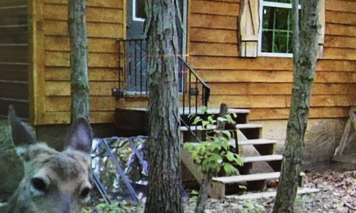 Lakewood  Shelby County Cabin | Off grid cabin adjacent to Corp of Engineers ground. Perfect Deer Camp