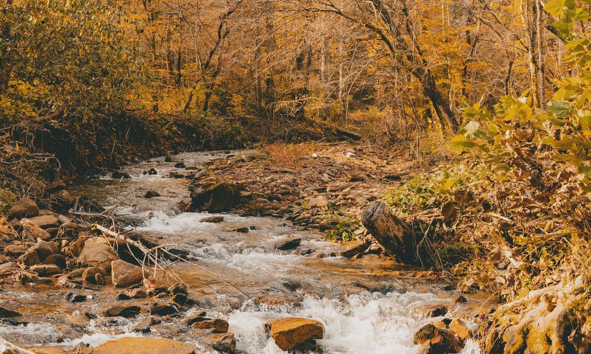 Saluda House | Our Little Slice of Heaven, with breathtaking views of the Pacolet River!