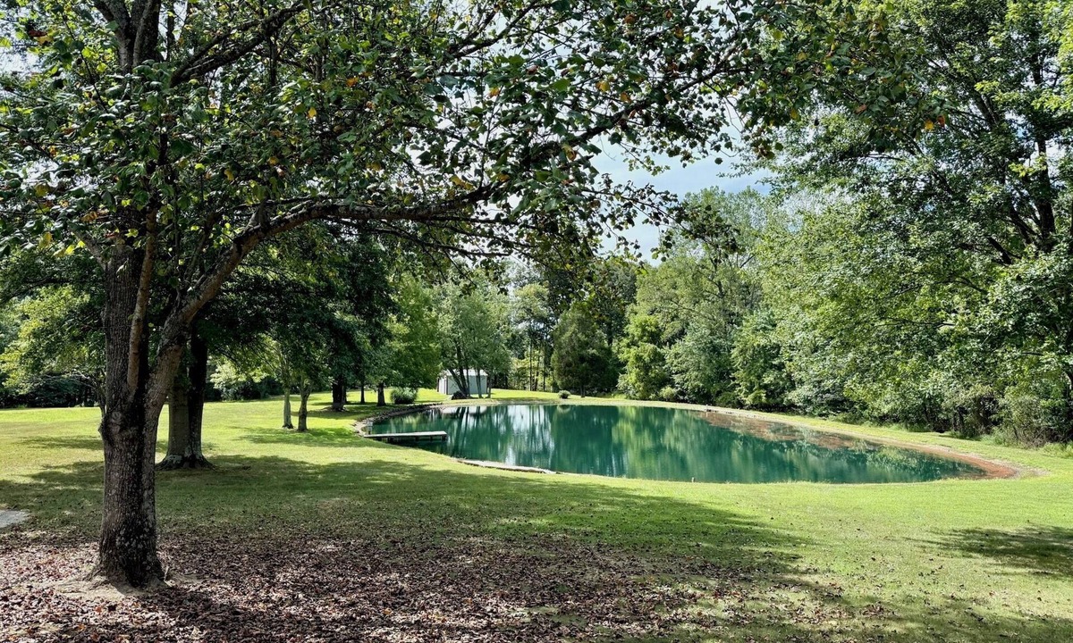Magnet House | Oxbow Overlook: Ohio River Bend Views, Private Pond, Pets Welcome