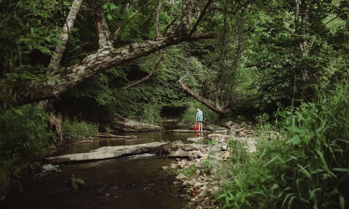Sparta House | Peaceful Mountain Retreat: Private Creek, Fireflies & Family Fun