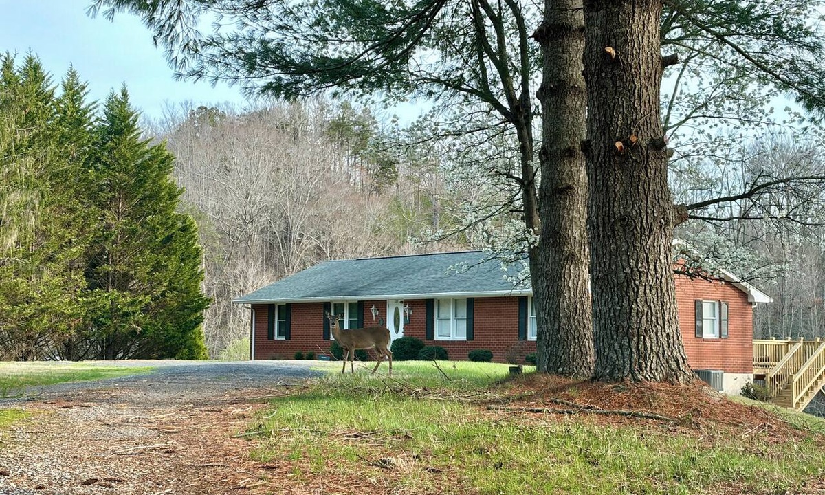 Goodview Condo | Quiet Lakeside Retreat - Dog Friendly!