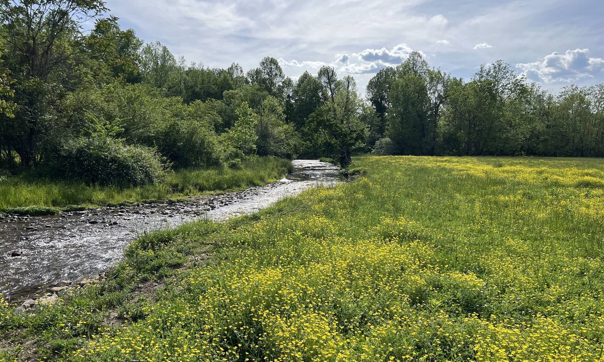 Andrews House | River Stone Farmhouse on 35 acres with trout stream