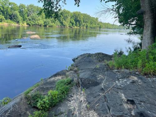 Bremo Bluff House | Riverview Cabin on the James