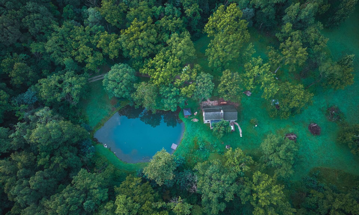 Bentonville Cabin | Sam White Cabin Serene and private