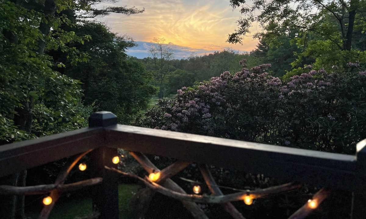 Lake Sequoyah House | Sanctuary Cottage | One Mile to Downtown and National Forest