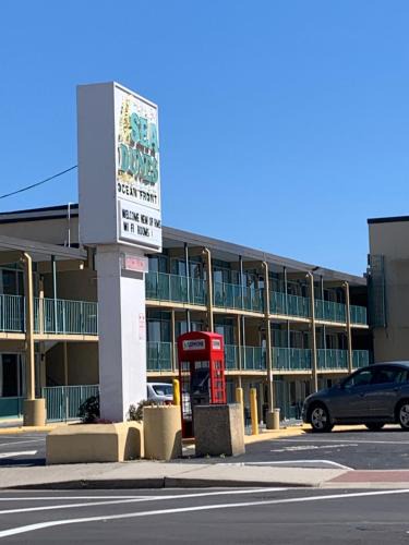 Myrtle Beach Hotel | Sea Dunes Oceanfront