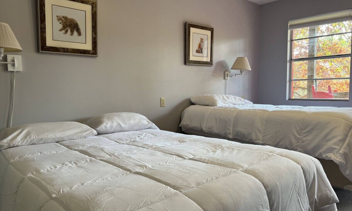 Waynesboro Hotel | Serenity at Rock Retreat Room 24