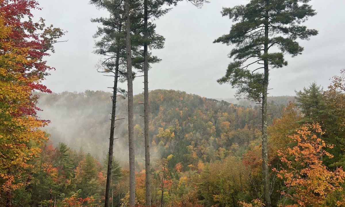 Rogers Cabin | Sweet Rock Cabin - Romantic, Sauna, Views, Hot Tub