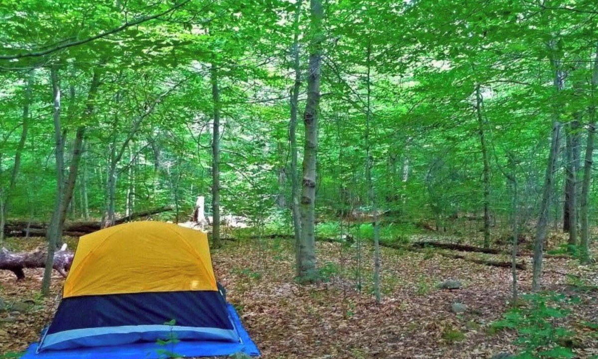 Cullman RV Rental | Tent Camping ROCK THE SOUTH Walk to Rock The South.