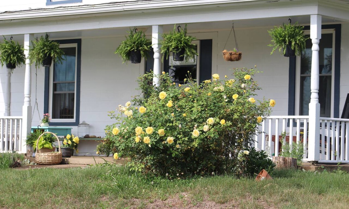 Madison House | The Honeysuckle Cottage in beautiful Madison VA