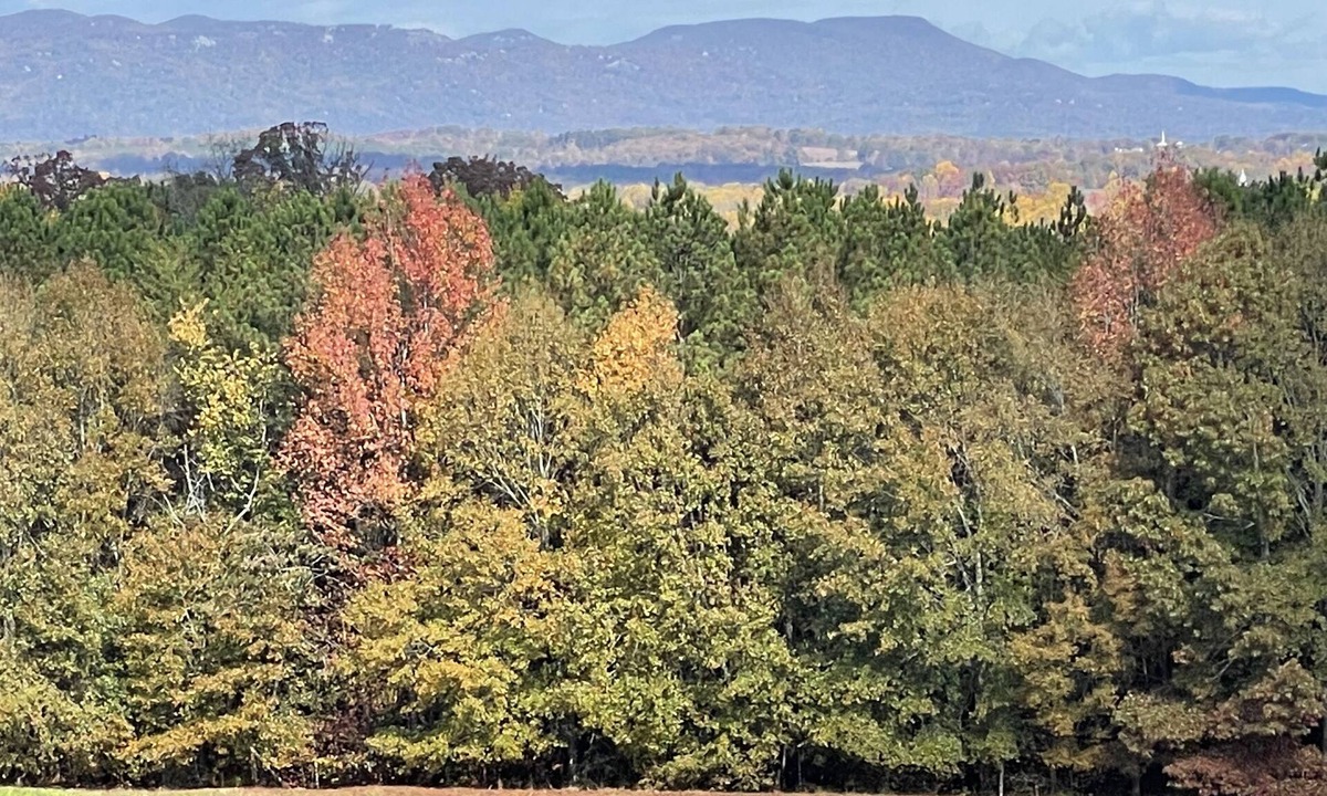 Travelers Rest House | Travelers Rest, Furman, Greenville, and a mountain view!