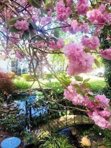 Mount Airy House | vacation paradise