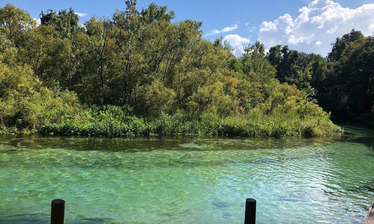 Spring Hill House | Weeki Wachee MAIN RIVER