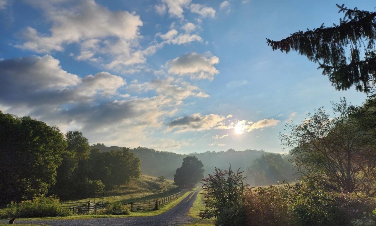 Lewisburg Cabin | Wild Wonderful Primitive Cabin in WV, Get back to nature, fresh air, wildlife.