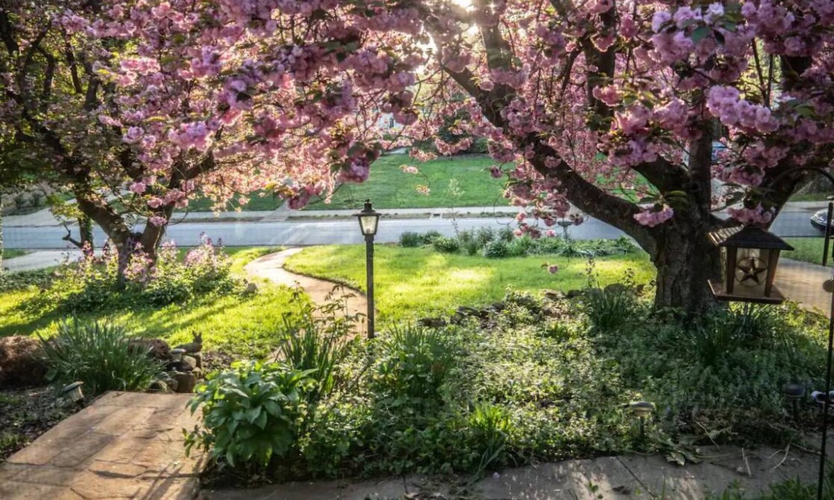 Greensboro House | ZEN Cottage-walk to Whole Foods -5 min drive to Tanger Broadway shows! Pets✅