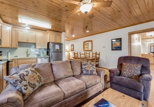 Updated Riverfront Retreat A/C Private Hot Tub in Estes Park