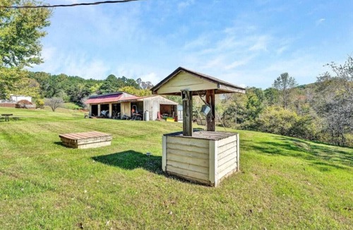 Burnt Chimney Cabin | 1800s Cabin Pond, Paddle Boat Near SML & Roanoke
