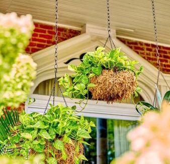 Northside District Bed & Breakfast | 1890 Victorian Garden Home Bed and Breakfast