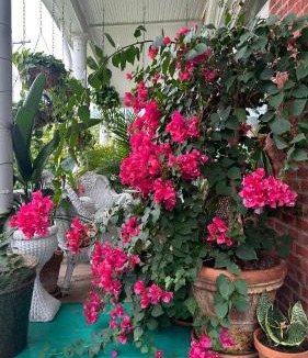Northside District Bed & Breakfast | 1890 Victorian Garden Home Bed and Breakfast