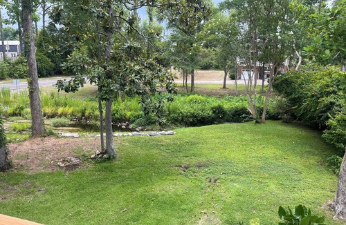 Wilmington Cottage | 1BR 1BA Cozy Creekside Cottage on Wilmington's CC Trail. 4 miles to WB waters