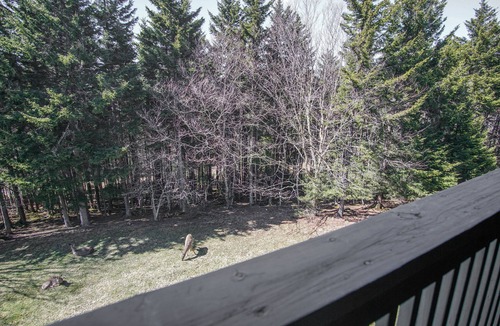 Edray Condo | 1Br: Studio Loft Ridgewood 59 Wood Fireplace, Washer and Dryer Full Kitchen