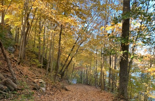Tateville Cottage | 1BR1BA - Seasonal lake view, minutes to Lake Cumberland Regional Hospital