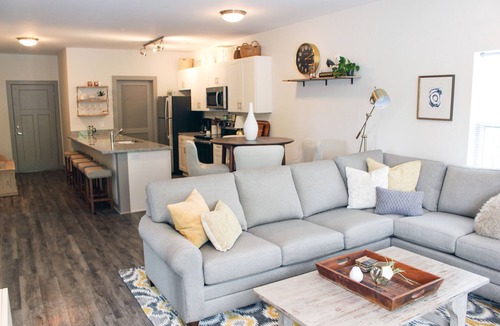 Downtown Chattanooga Condo | 209 LUXURY DOWNTOWN 2BED/2BA CONDO, sleeps 6!